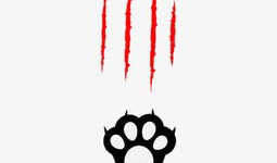 猫爪短视频素材,揭秘猫爪短视频的魅力